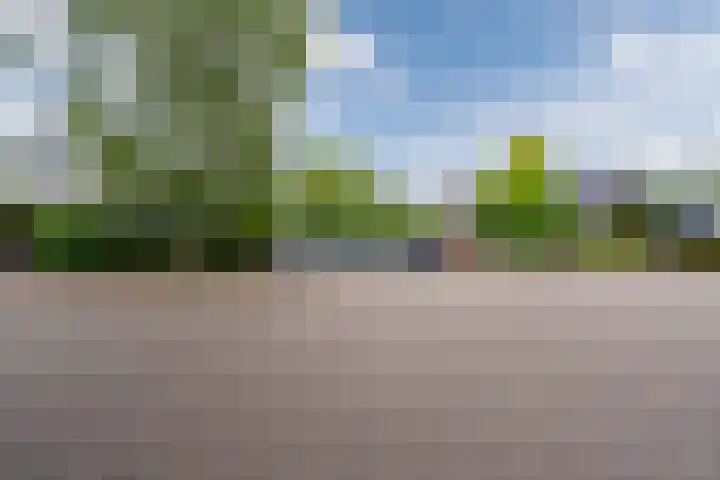 Jan van Scorelpark 48 Schoorl thumbnail 33