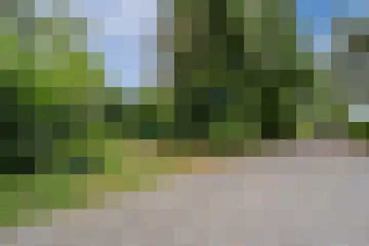 Jan van Scorelpark 48 Schoorl thumbnail 34