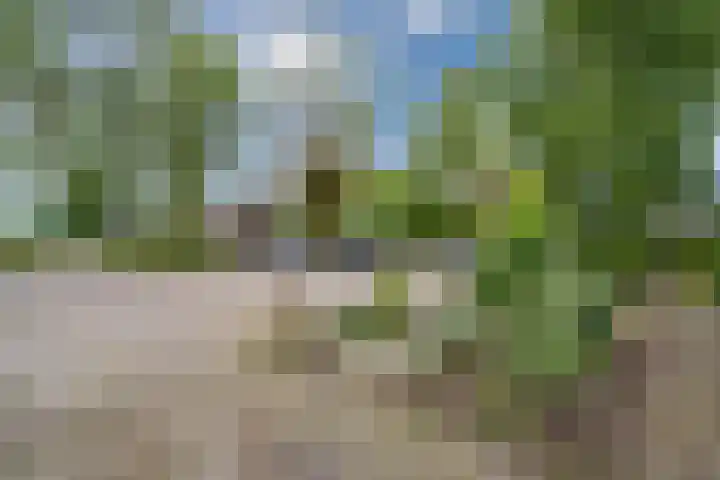 Jan van Scorelpark 48 Schoorl thumbnail 36