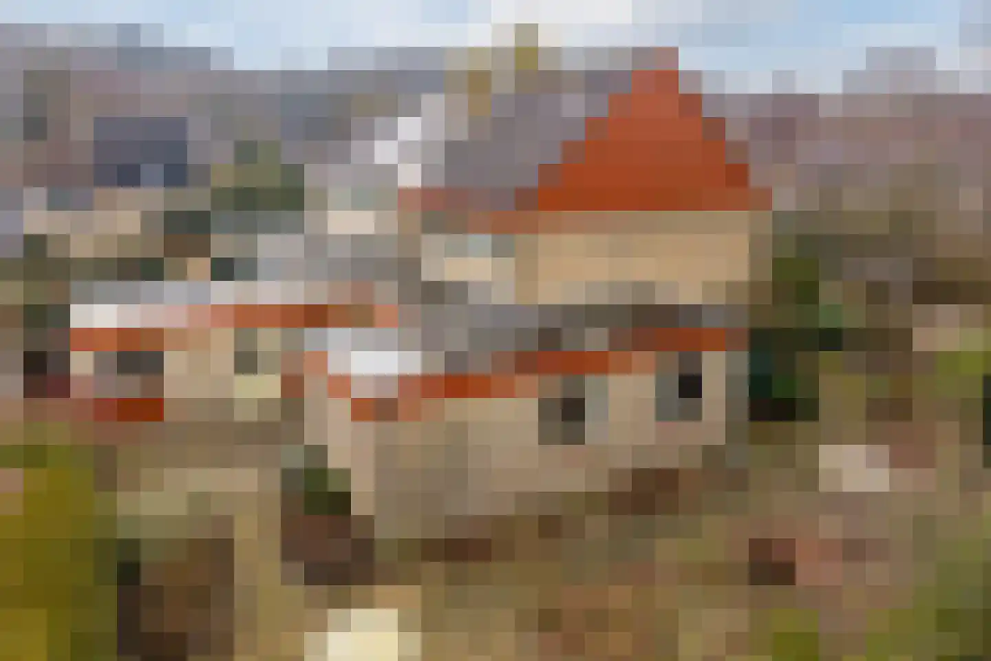 Jan van Scorelpark 50 Schoorl thumbnail 36