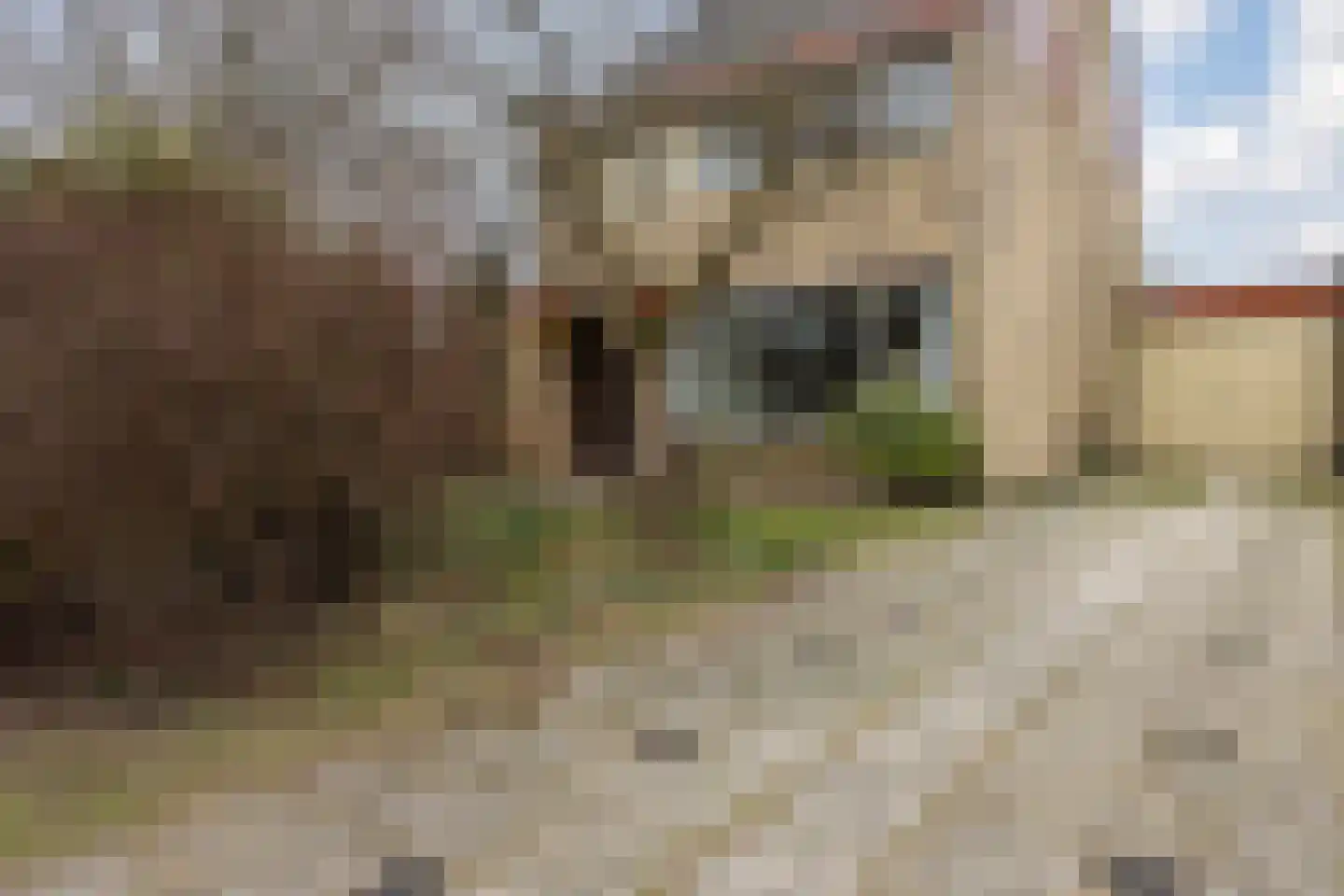 Jan van Scorelpark 50 Schoorl thumbnail 4