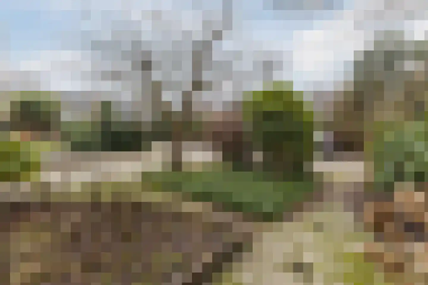Jan van Scorelpark 50 Schoorl thumbnail 41
