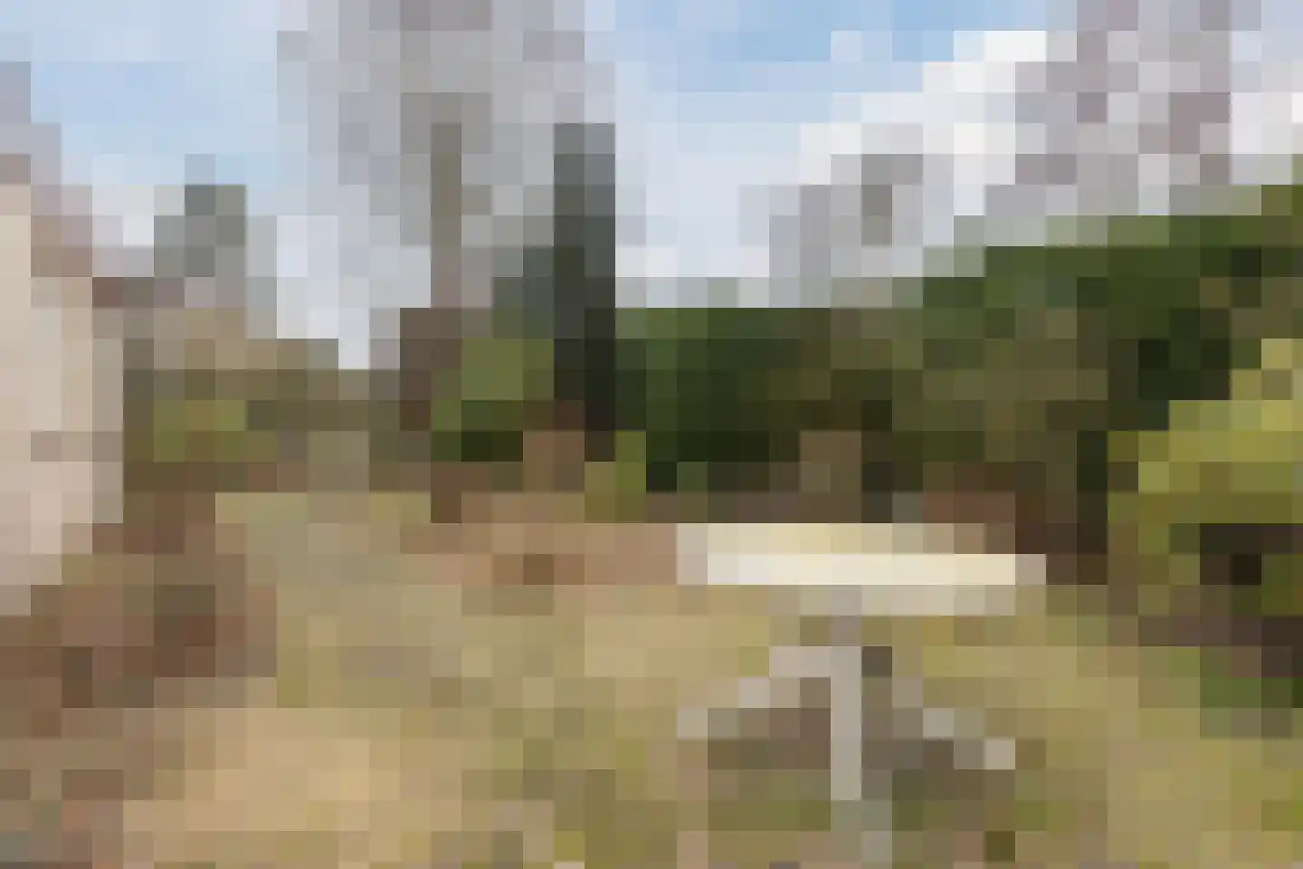 Jan van Scorelpark 50 Schoorl thumbnail 42