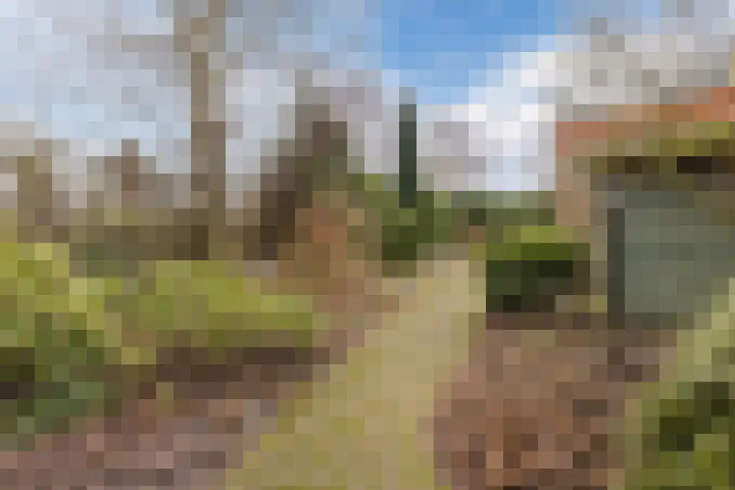 Jan van Scorelpark 50 Schoorl thumbnail 44