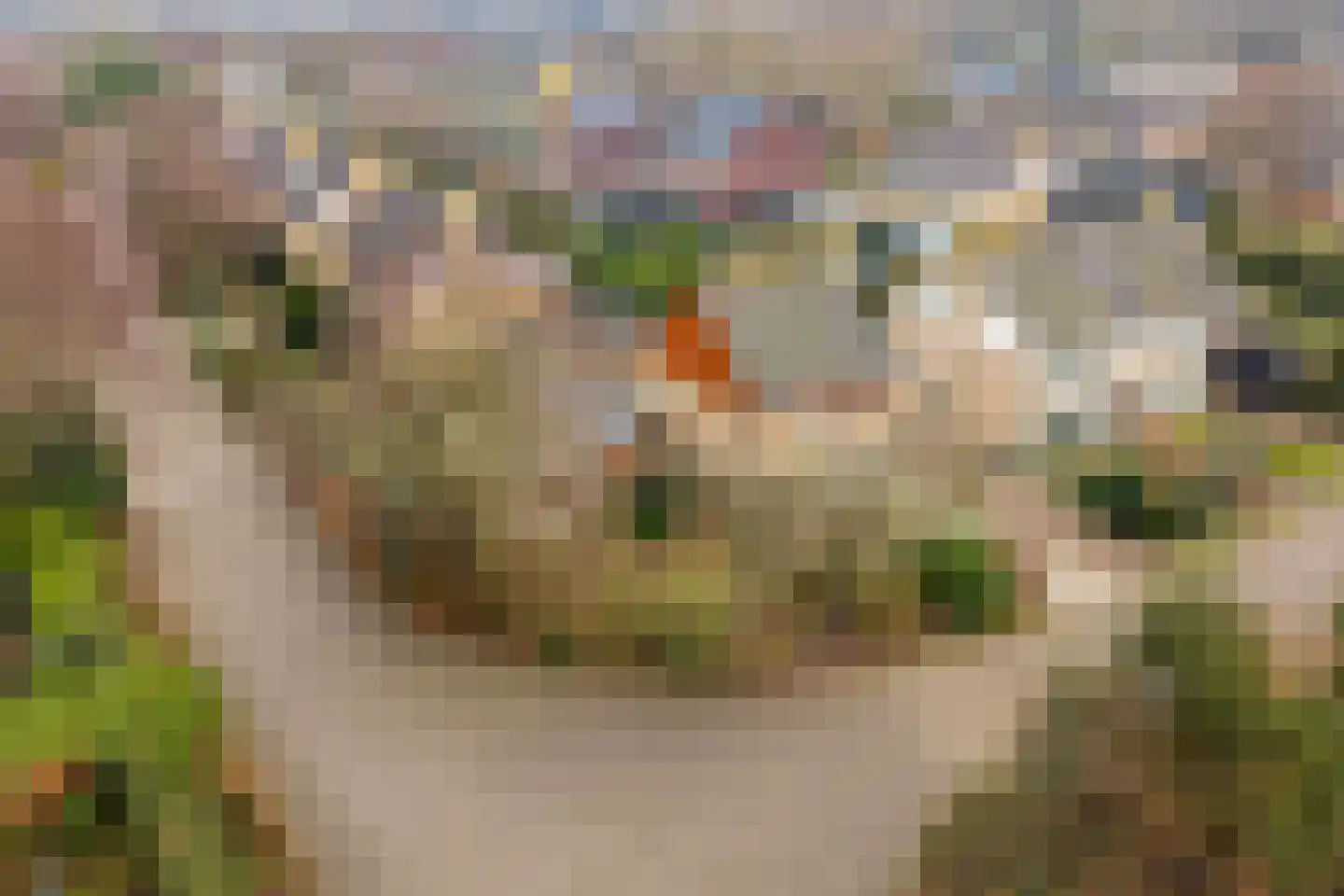 Jan van Scorelpark 50 Schoorl thumbnail 46
