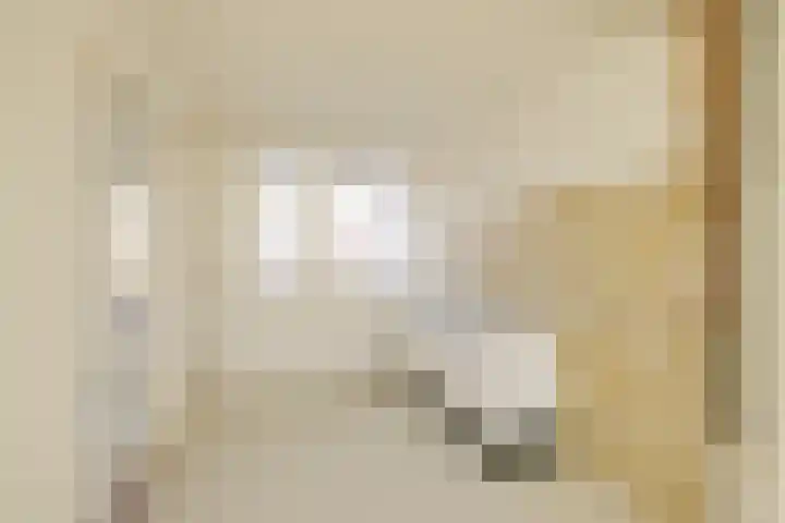 Jan van Scorelstraat 10 Heemskerk thumbnail 7