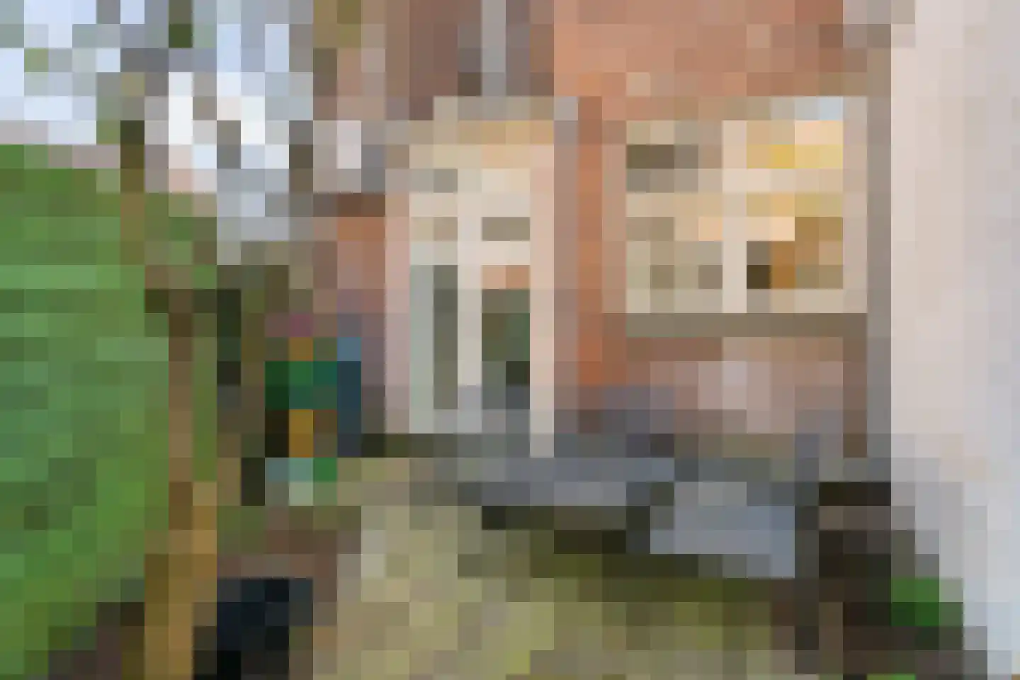 Jan van Scorelstraat 11 Utrecht thumbnail 27