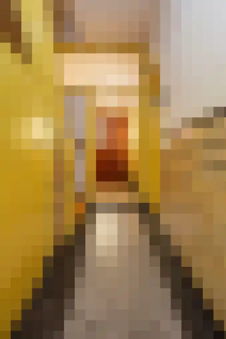 Jan van Scorelstraat 137 Utrecht thumbnail 4