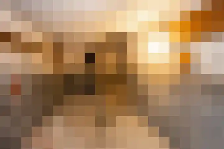 Jan van Scorelstraat 137 Utrecht thumbnail 5