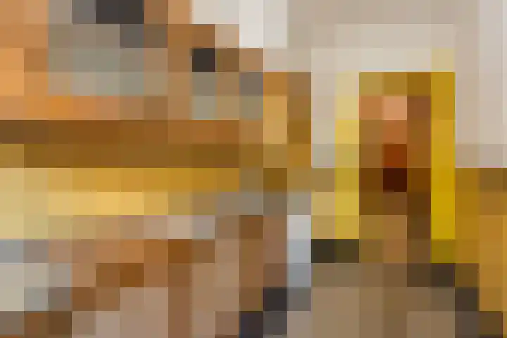 Jan van Scorelstraat 137 Utrecht thumbnail 6