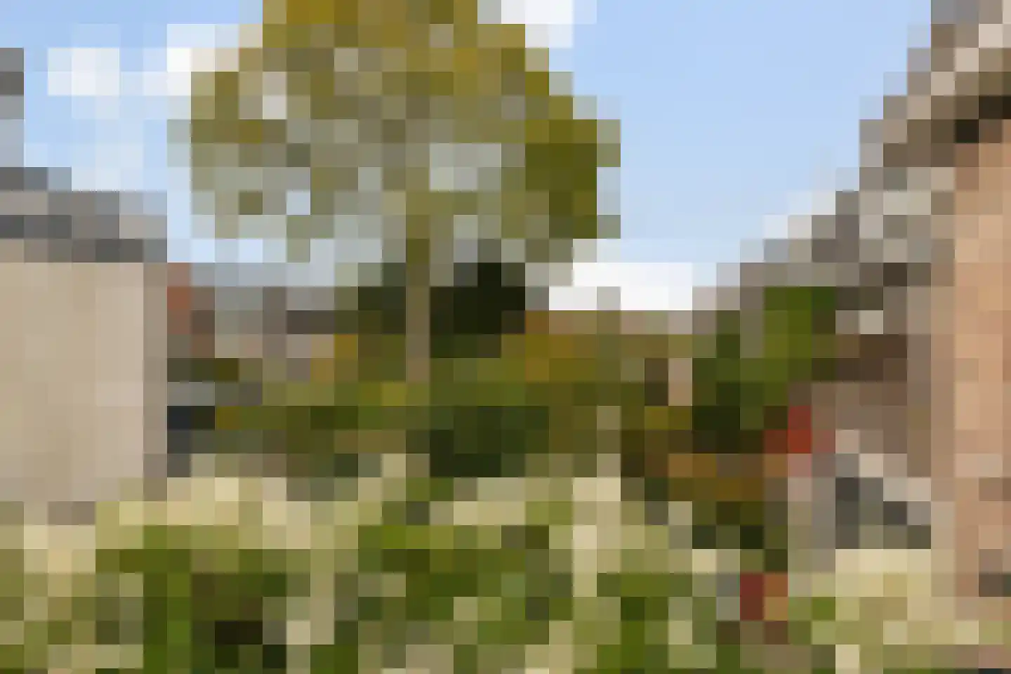 Jan van Scorelstraat 141 Utrecht thumbnail 31