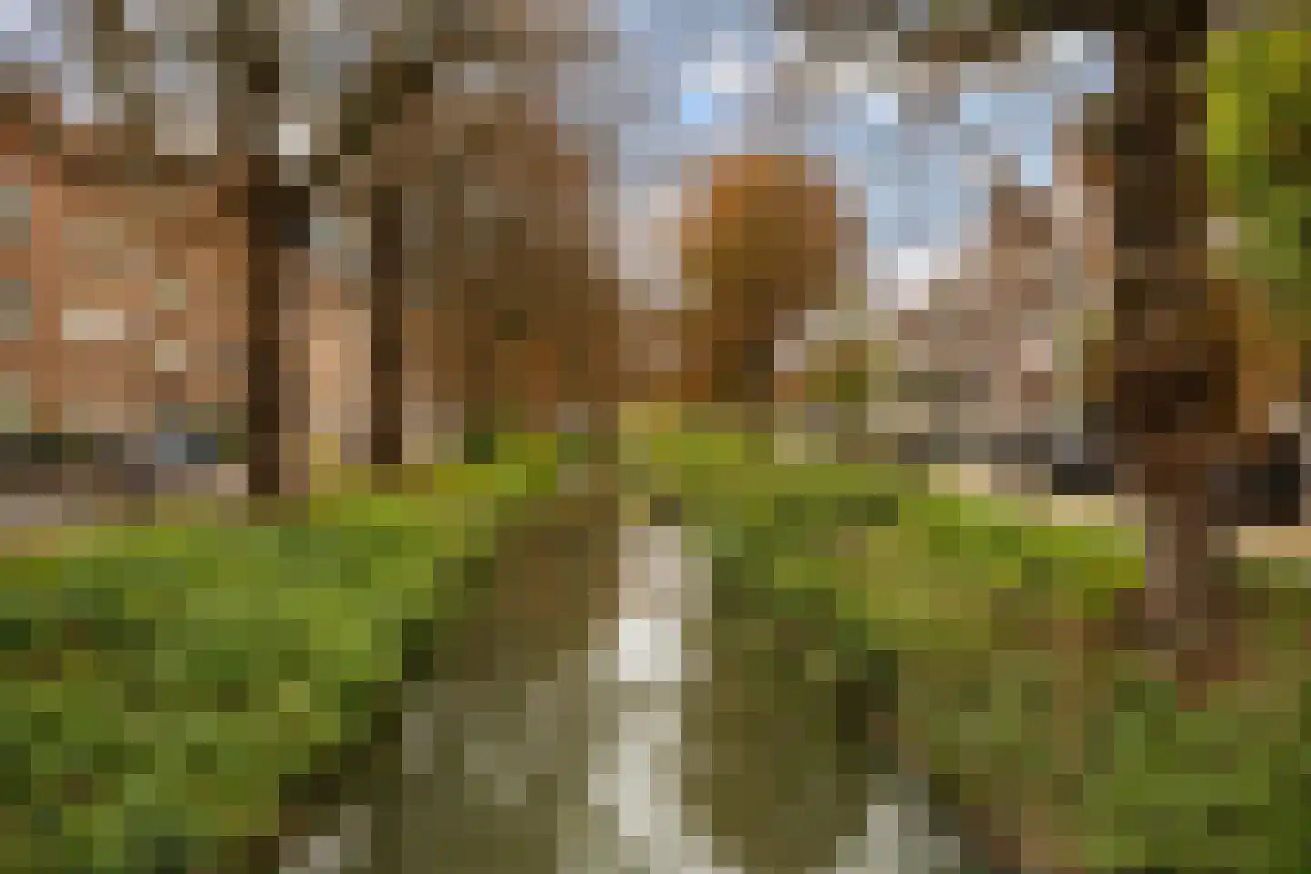 Jan van Scorelstraat 141 Utrecht thumbnail 69