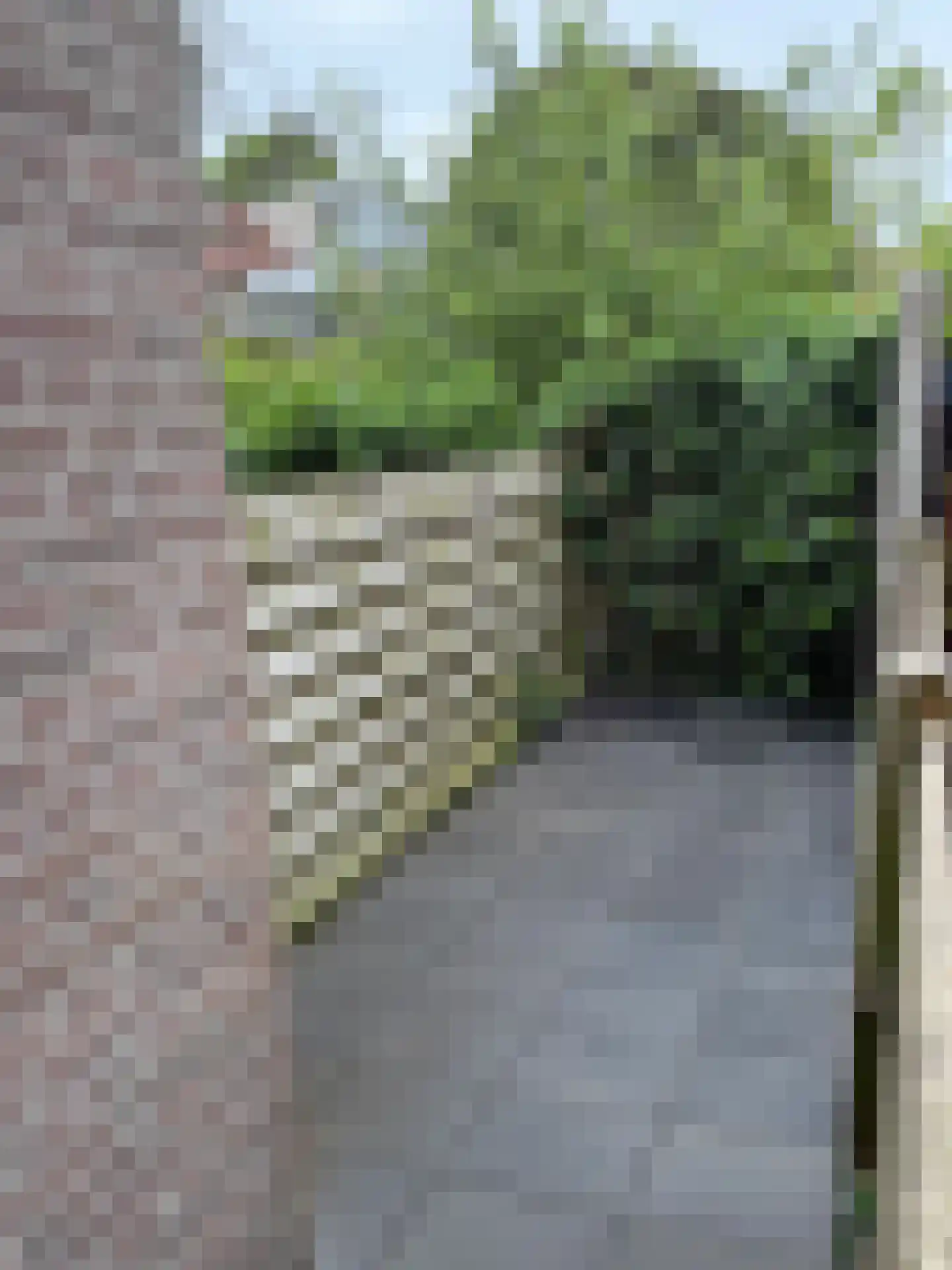 Jan van Scorelstraat 153 Utrecht thumbnail 17