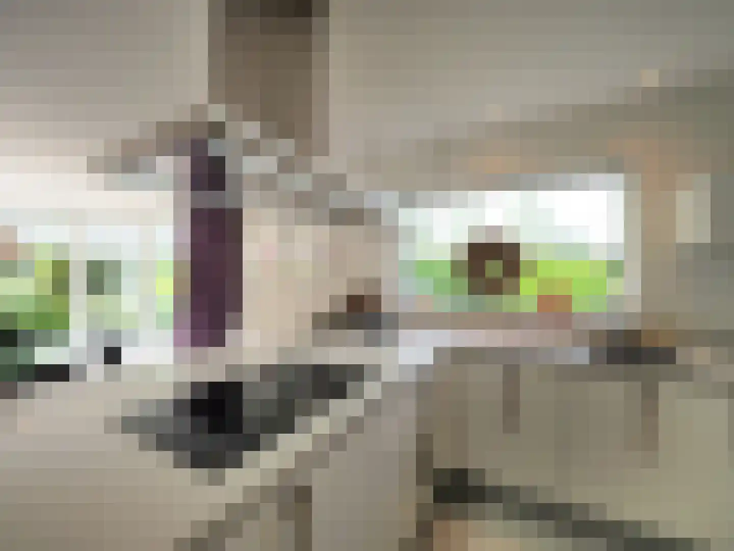 Jan van Scorelstraat 2 B Papendrecht thumbnail 47