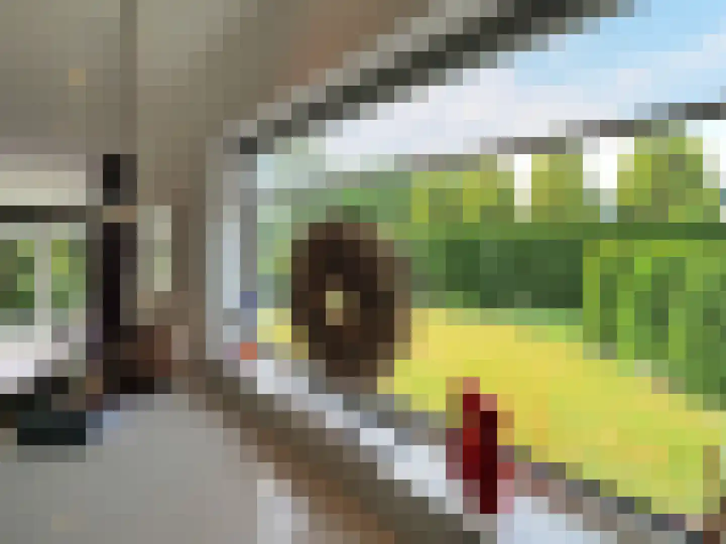 Jan van Scorelstraat 2 B Papendrecht thumbnail 48