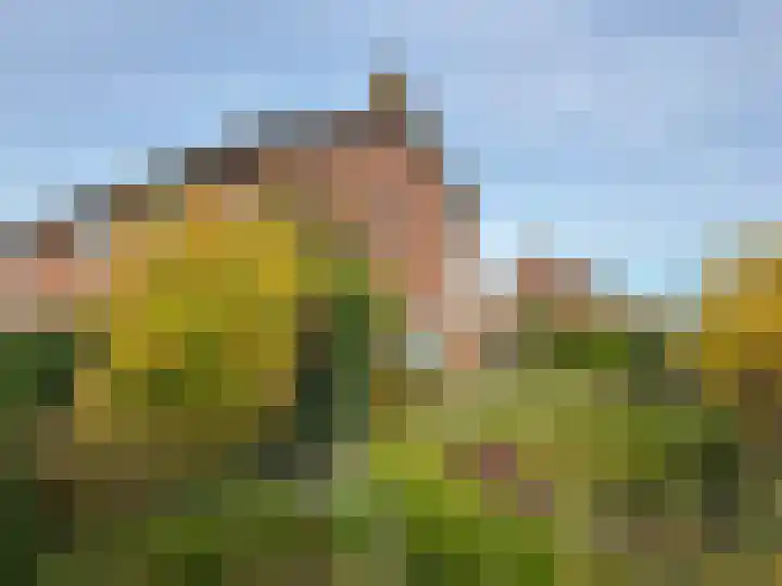 Jan van Scorelstraat 2 Coevorden thumbnail 12