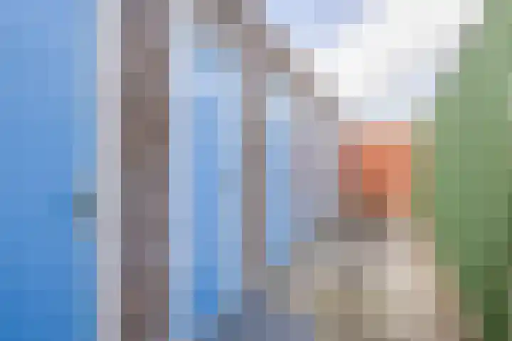 Jan van Scorelstraat 37 Spijkenisse thumbnail 32
