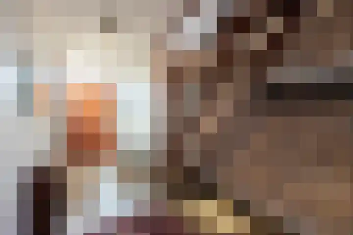 Jan van Scorelstraat 41 Papendrecht thumbnail 6