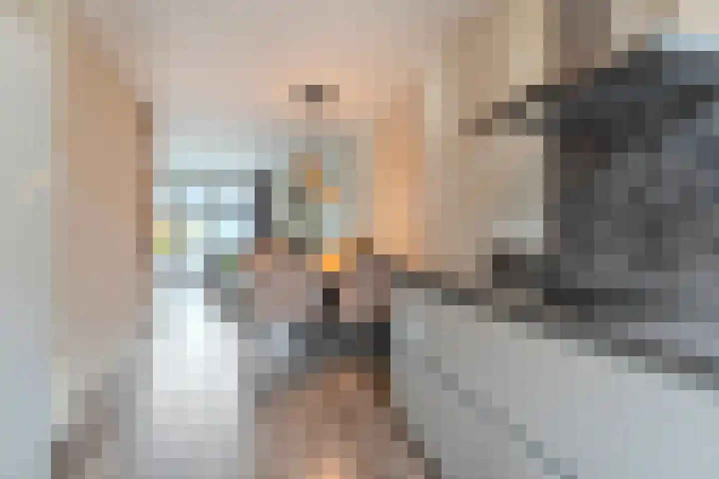 Jan van Scorelstraat 45 Oosterhout thumbnail 15