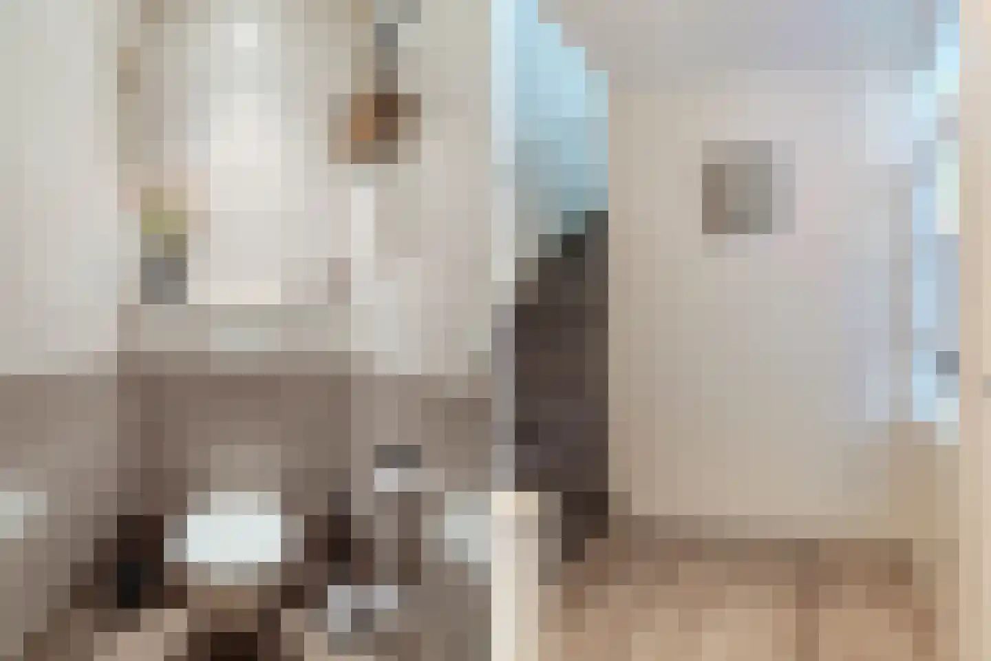 Jan van Scorelstraat 45 Oosterhout thumbnail 17