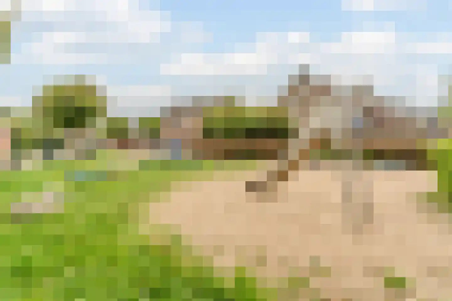 Jan van Scorelstraat 45 Oosterhout thumbnail 49