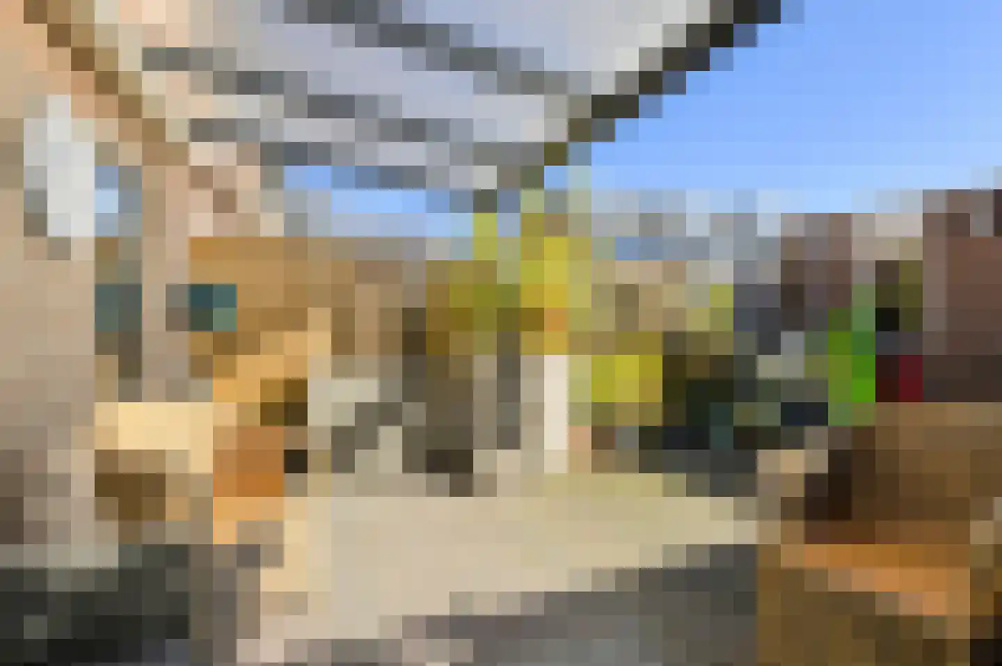 Jan van Scorelstraat 7 Oosterhout thumbnail 36