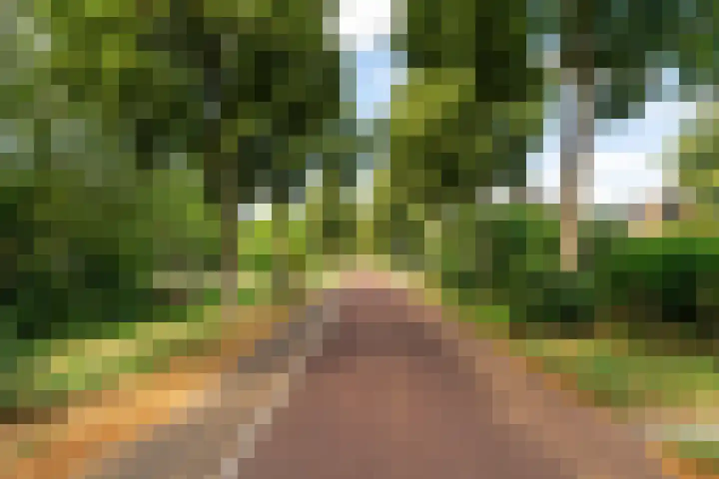 Jan van Scorelstraat 75 Oosterhout thumbnail 7