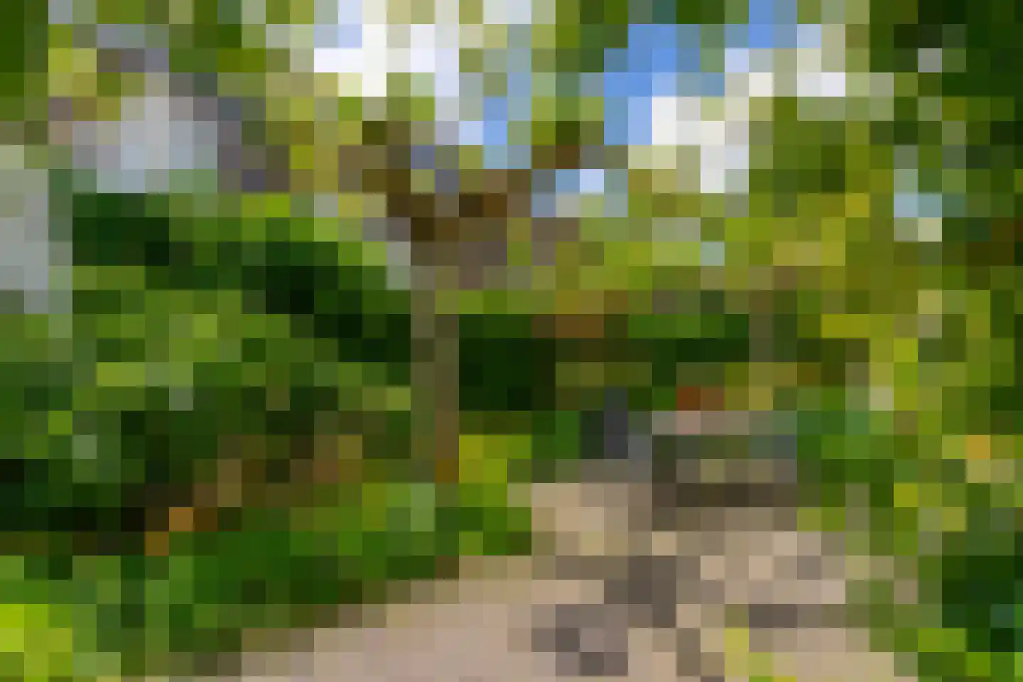 Jan van Scorelstraat 75 Utrecht thumbnail 4
