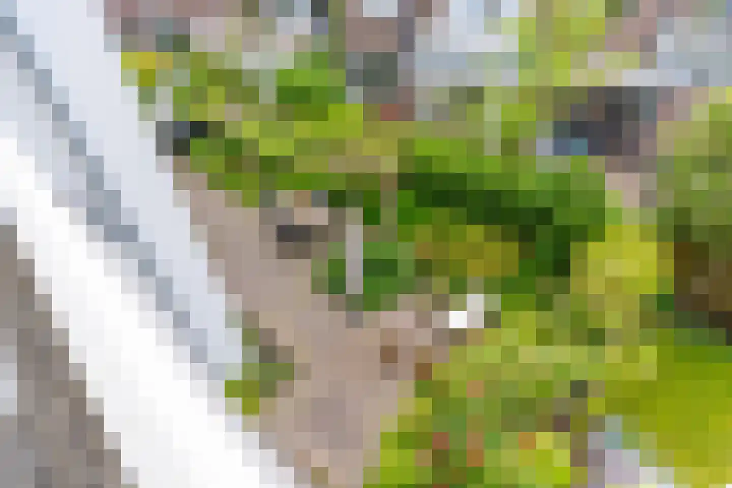Jan van Scorelstraat 75 Utrecht thumbnail 42