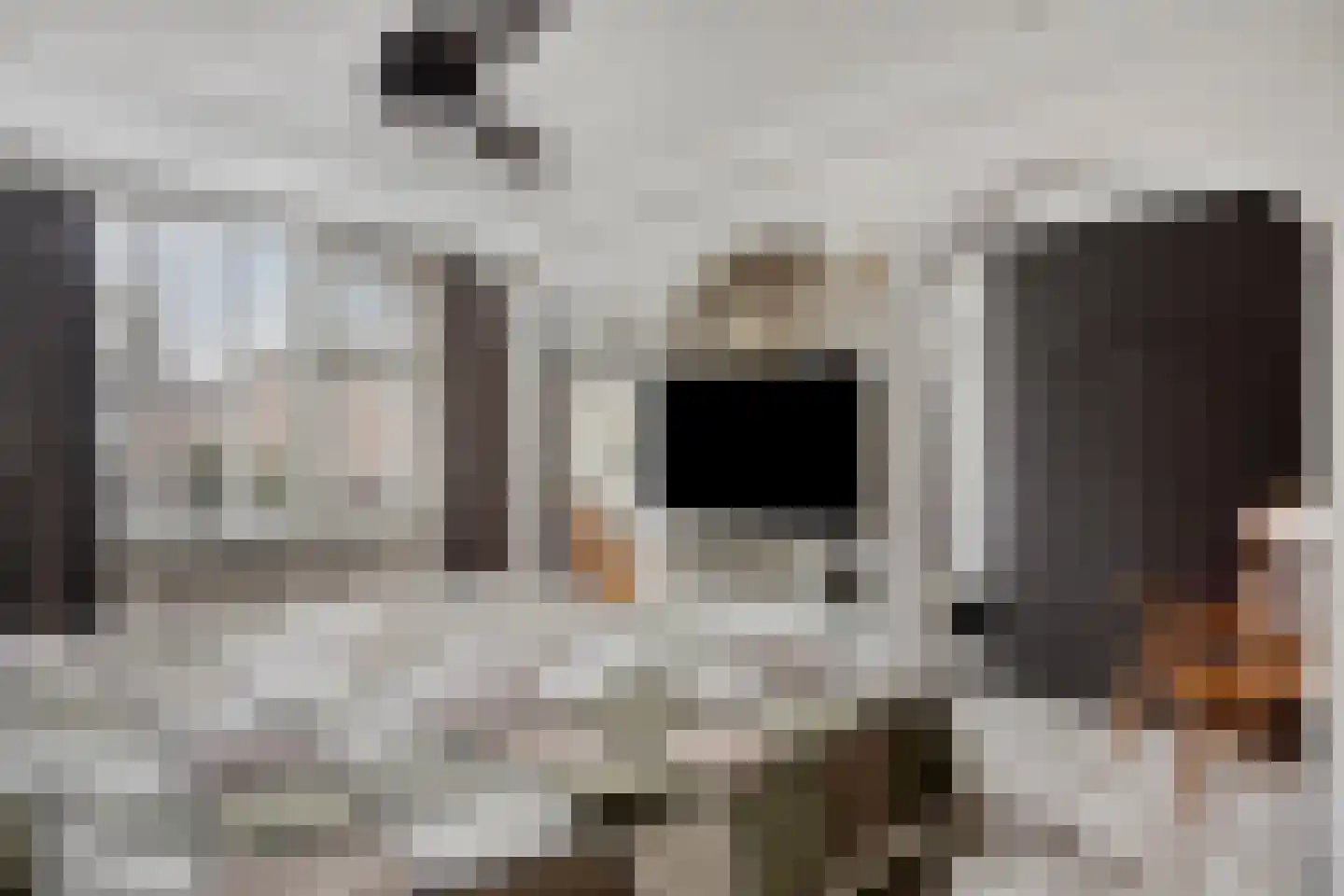 Jan van Speijkstraat 6 's-Hertogenbosch thumbnail 16