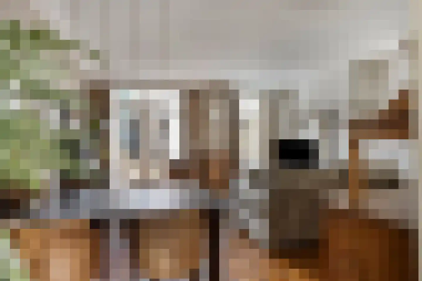 Jan van Speijkstraat 6 's-Hertogenbosch thumbnail 8
