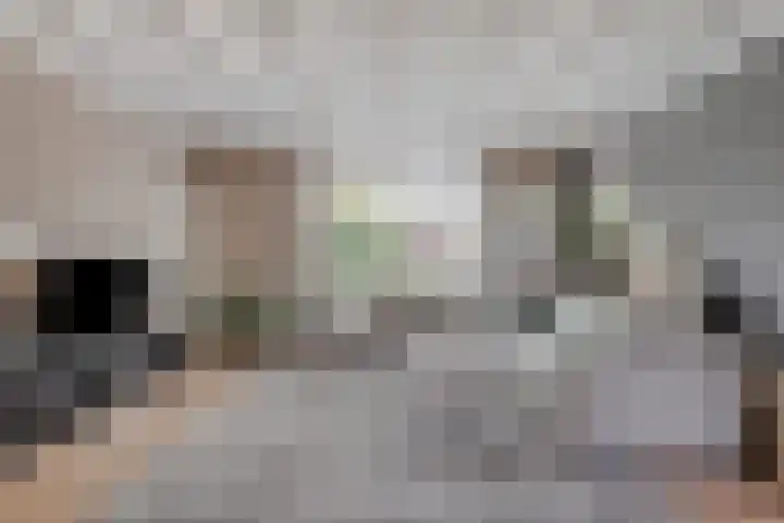 Jan van Speyklaan 11 Oirschot thumbnail 12