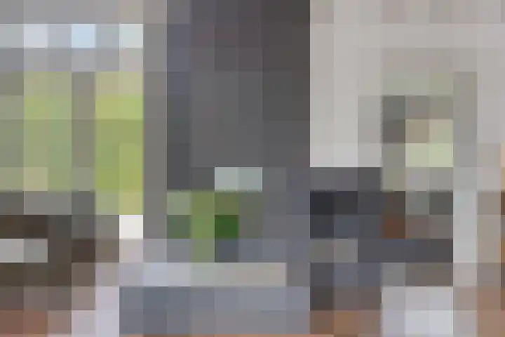 Jan van Speyklaan 11 Oirschot thumbnail 13