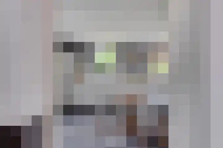 Jan van Speyklaan 11 Oirschot thumbnail 16