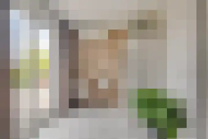 Jan van Speyklaan 11 Oirschot thumbnail 24