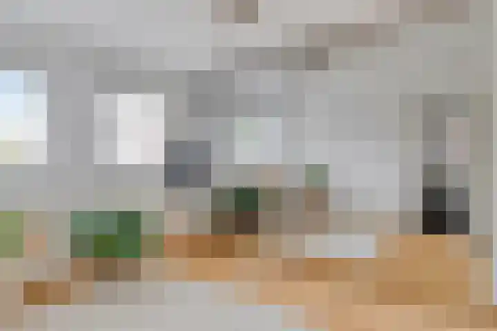 Jan van Speyklaan 11 Oirschot thumbnail 25