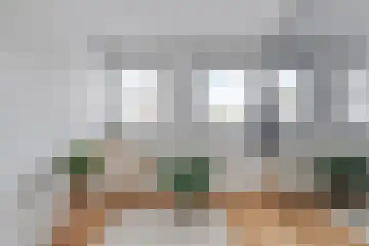 Jan van Speyklaan 11 Oirschot thumbnail 26