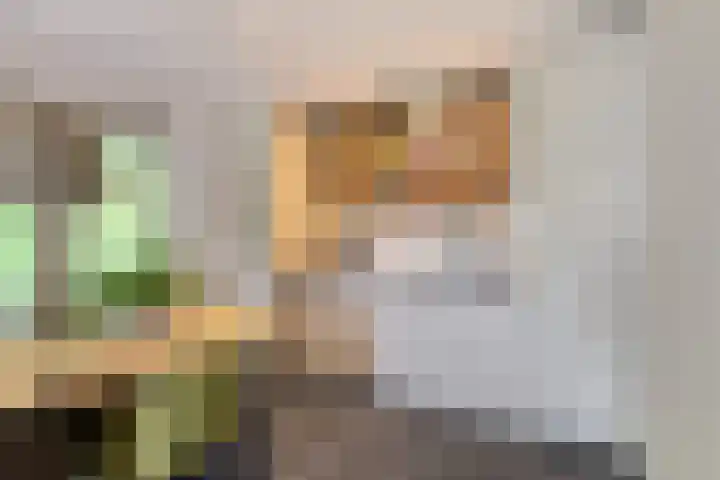 Jan van Speyklaan 11 Oirschot thumbnail 32