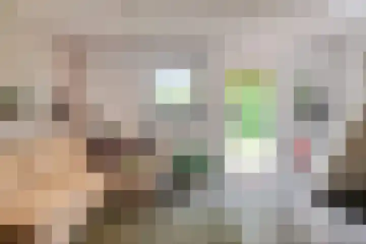 Jan van Speyklaan 11 Oirschot thumbnail 33