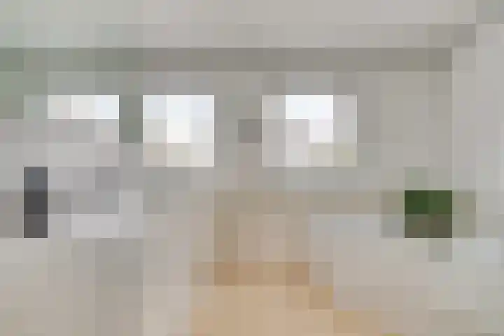Jan van Speyklaan 11 Oirschot thumbnail 4