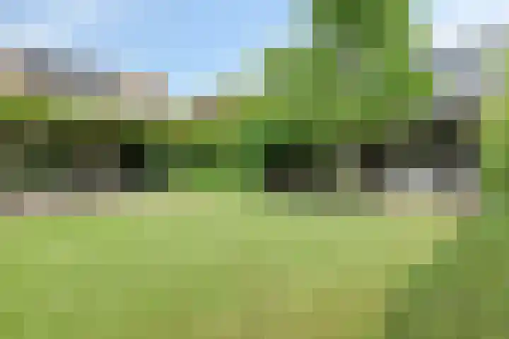 Jan van Speyklaan 11 Oirschot thumbnail 42