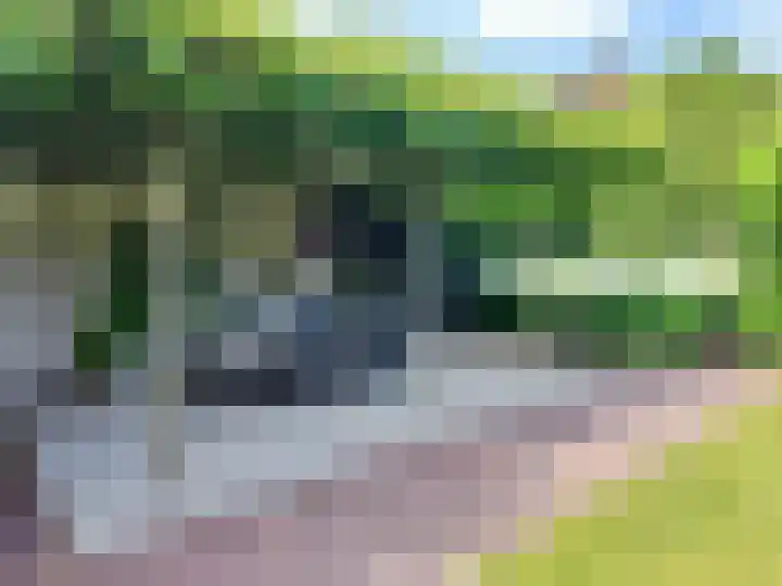 Jan van Speyklaan 11 Oirschot thumbnail 43