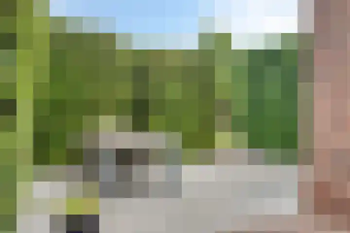 Jan van Speyklaan 11 Oirschot thumbnail 44