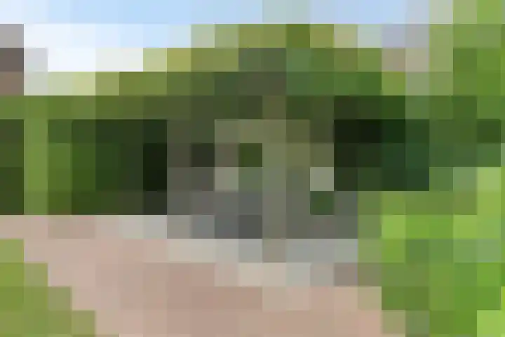 Jan van Speyklaan 11 Oirschot thumbnail 45