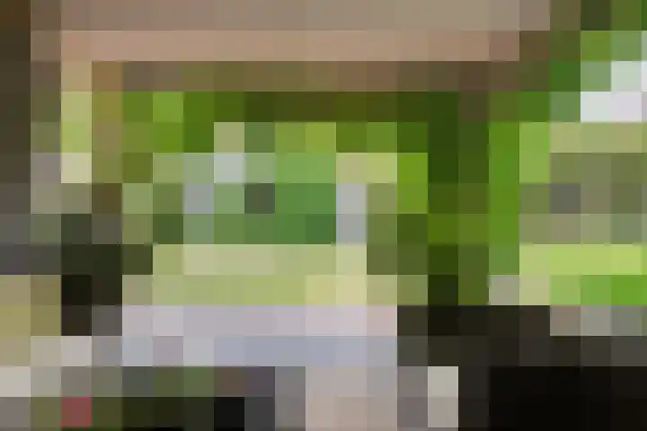 Jan van Speyklaan 11 Oirschot thumbnail 46