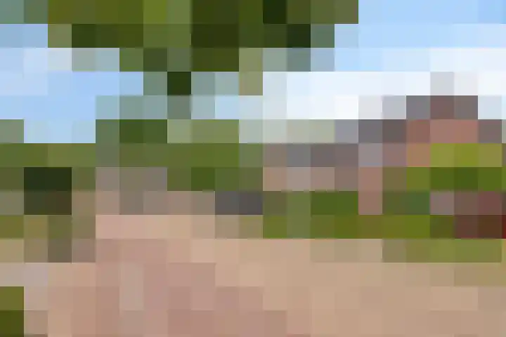 Jan van Speyklaan 11 Oirschot thumbnail 49