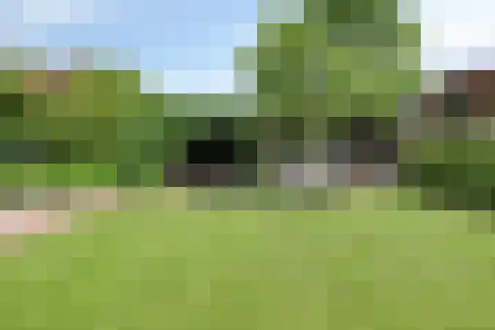Jan van Speyklaan 11 Oirschot thumbnail 5