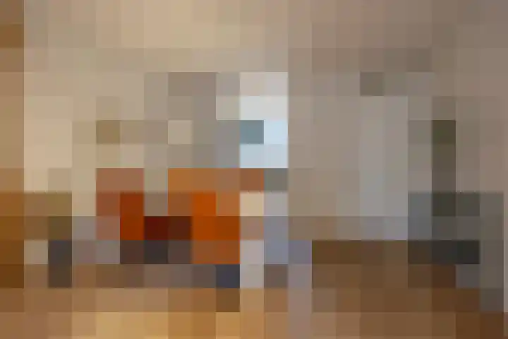 Jan van Speykstraat 13 Waalre thumbnail 6