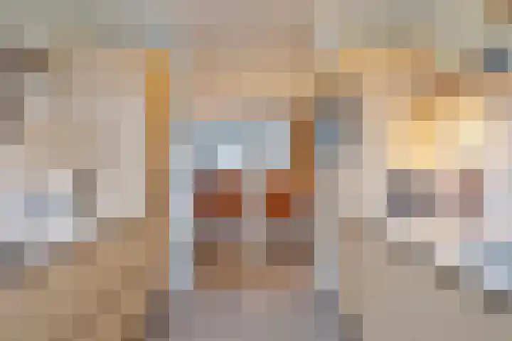 Jan van Speykstraat 13 Waalre thumbnail 8