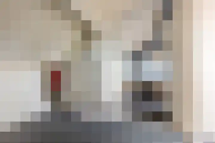 Jan van Speykstraat 26 Vught thumbnail 28